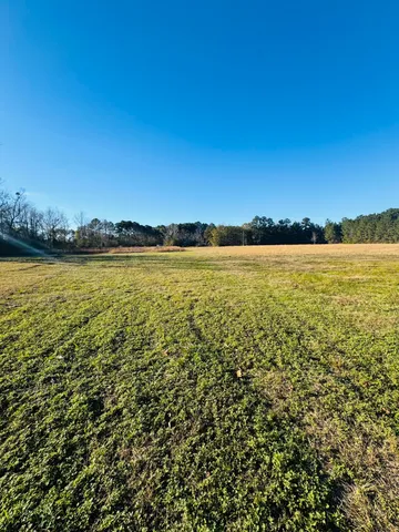 $60,000 | 0 Bishopville Road, St. George, SC 29477