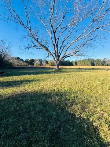 $60,000 | 0 Bishopville Road, St. George, SC 29477