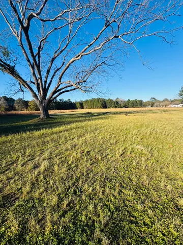 $60,000 | 0 Bishopville Road, St. George, SC 29477