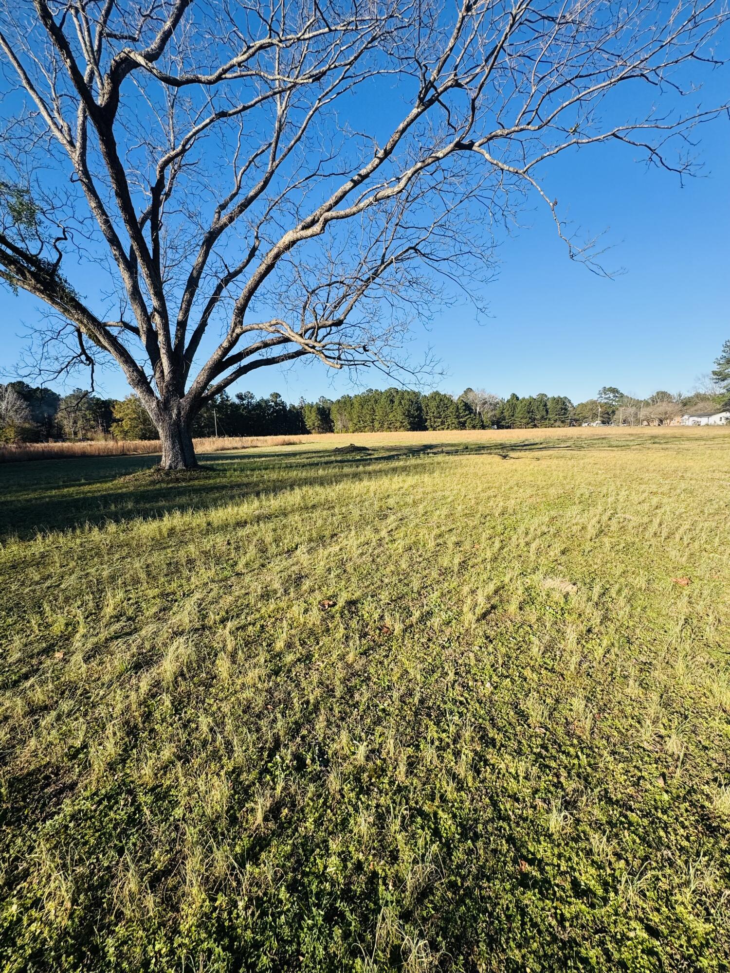 0 Bishopville Road St. George, SC 29477 - Photo 4 of 14 IMG_7293