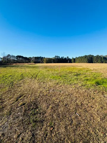 $60,000 | 0 Bishopville Road, St. George, SC 29477