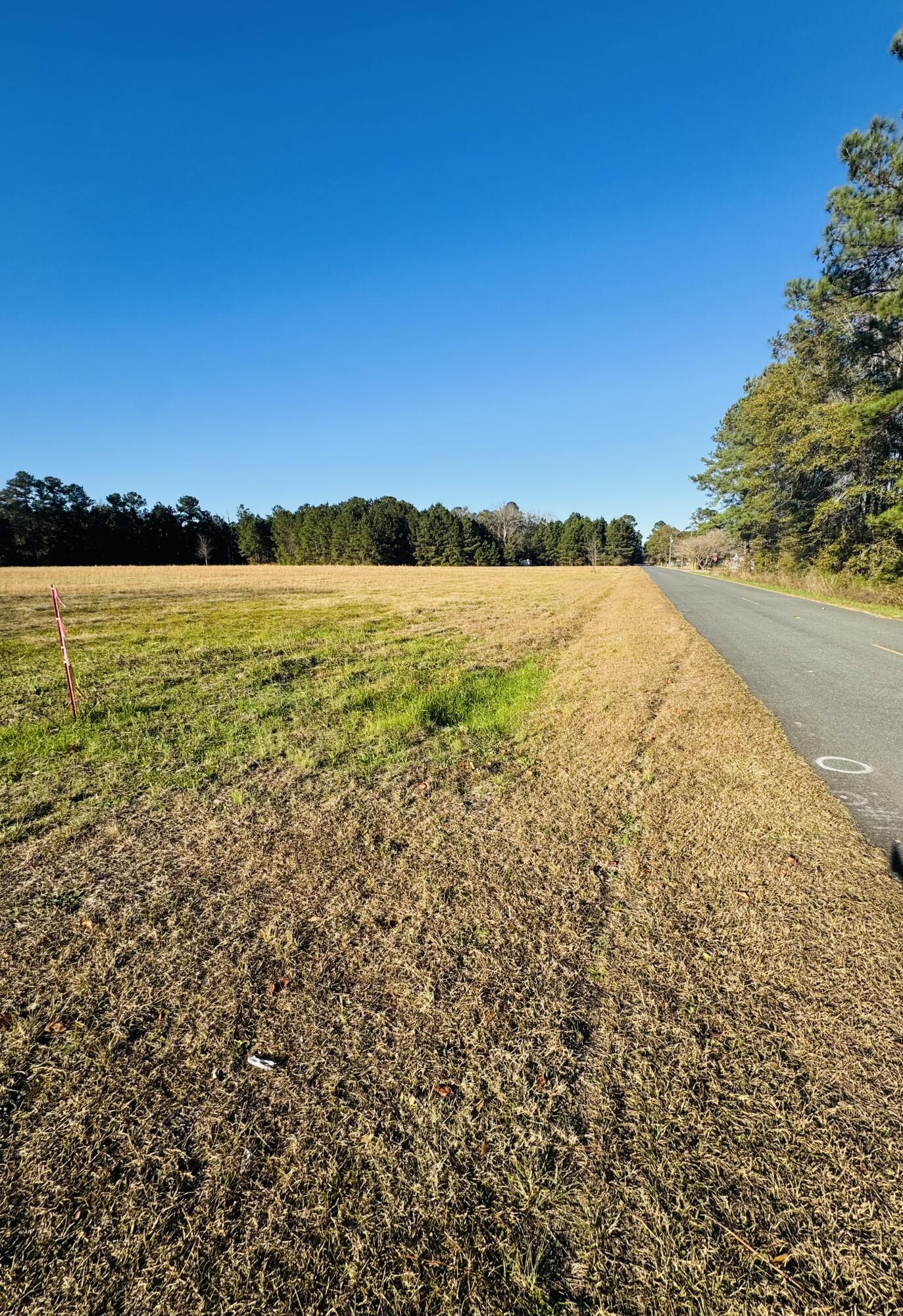 0 Bishopville Road St. George, SC 29477 - Photo 9 of 14 IMG_7297
