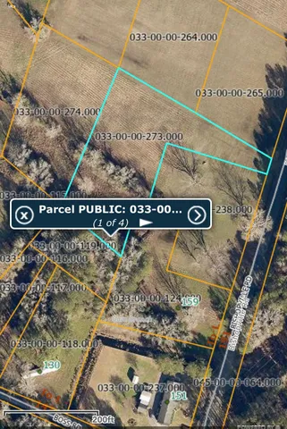 $60,000 | 0 Bishopville Road, St. George, SC 29477