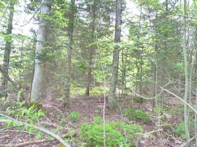 34-9 Tamarac Road Ellsworth, ME 04605 - Photo 7 of 9 Land.