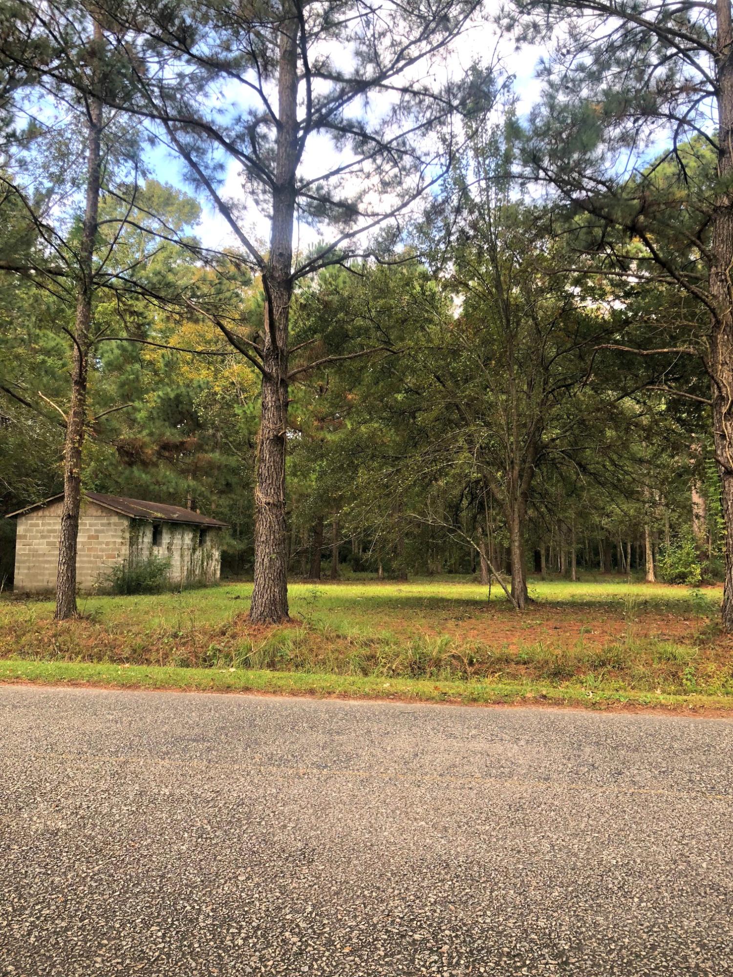 0 Pritchard Green Road Mount Pleasant, SC 29429 - Photo 1 of 4 IMG_0743-1