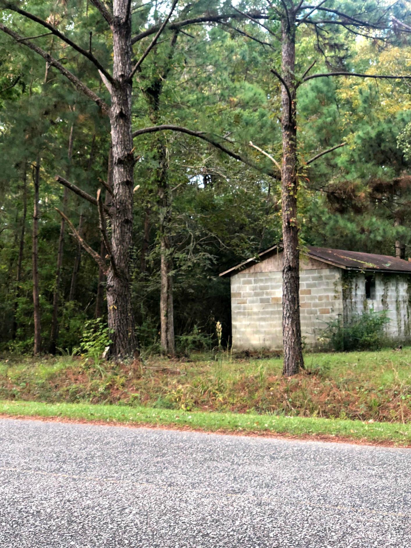 0 Pritchard Green Road Mount Pleasant, SC 29429 - Photo 2 of 4 IMG_0744-1