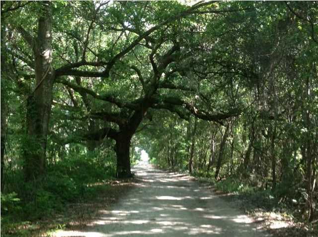 0 Shogry Pointe Road Johns Island, SC 29455 - Photo 7 of 22 Additional Photo