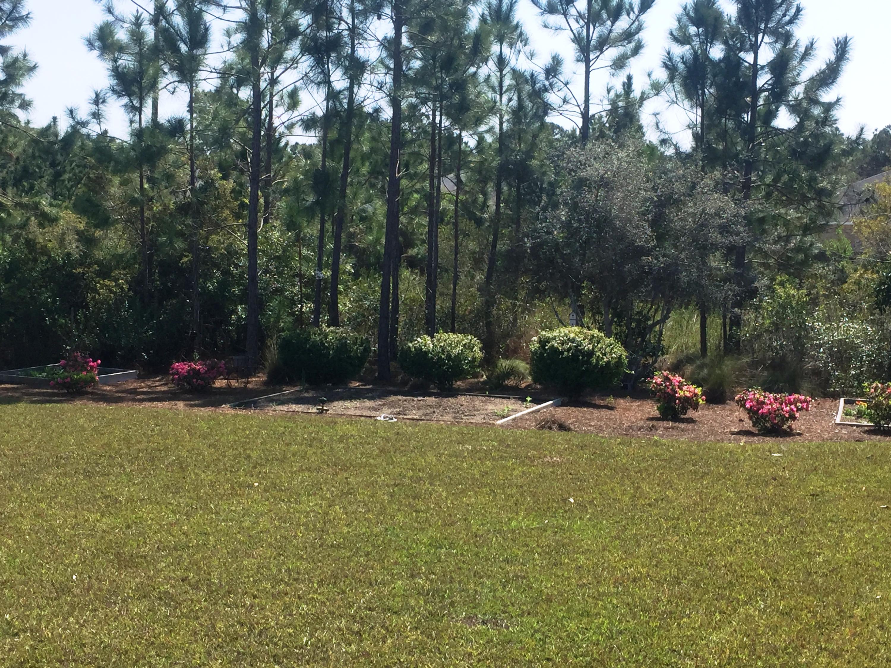 1078 Cocobolo Drive Santa Rosa Beach, FL 32459 - Photo 27 of 35
