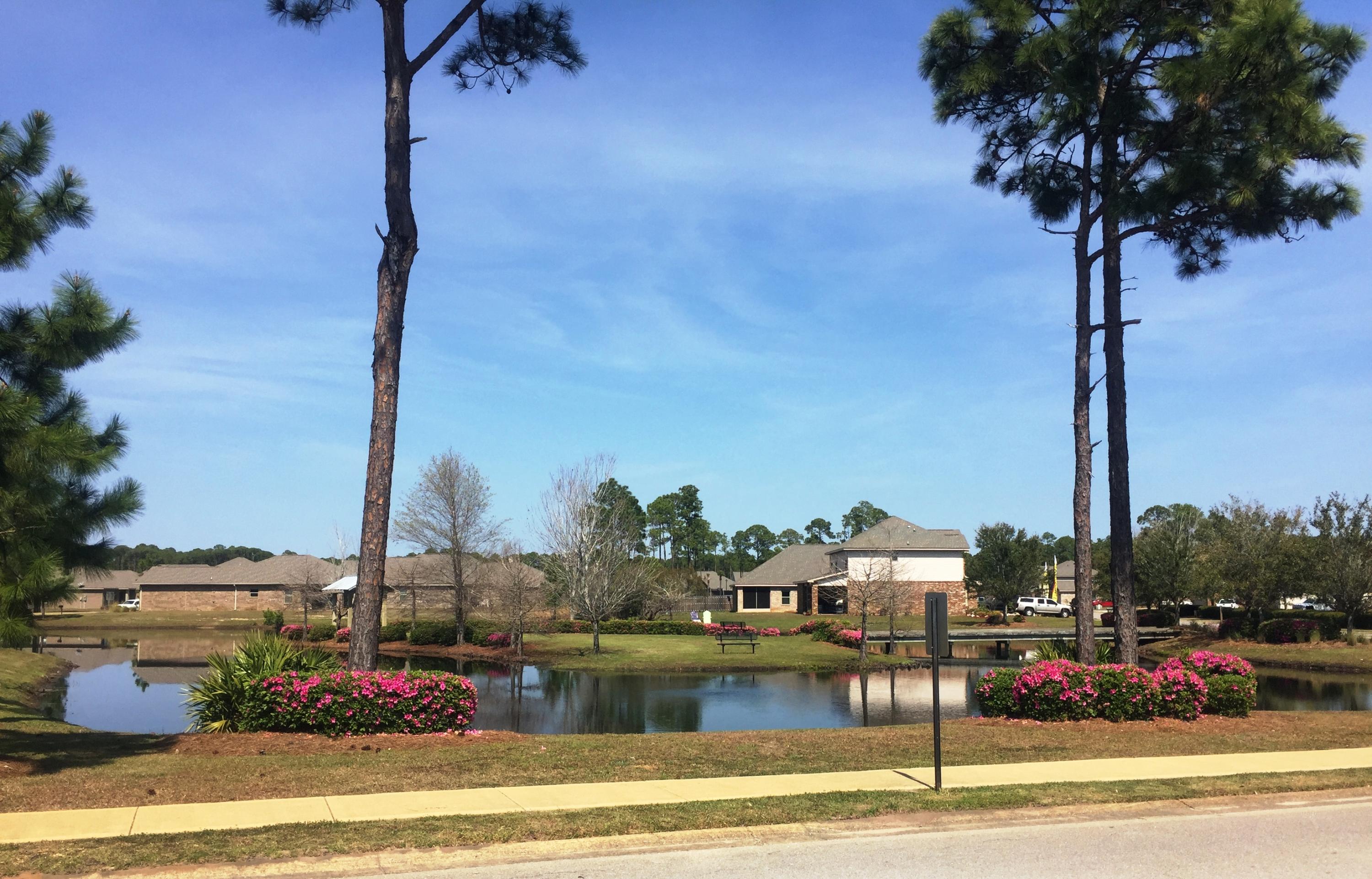 1078 Cocobolo Drive Santa Rosa Beach, FL 32459 - Photo 29 of 35