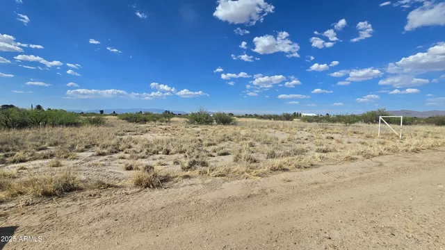 a view of a yard with a dry yard