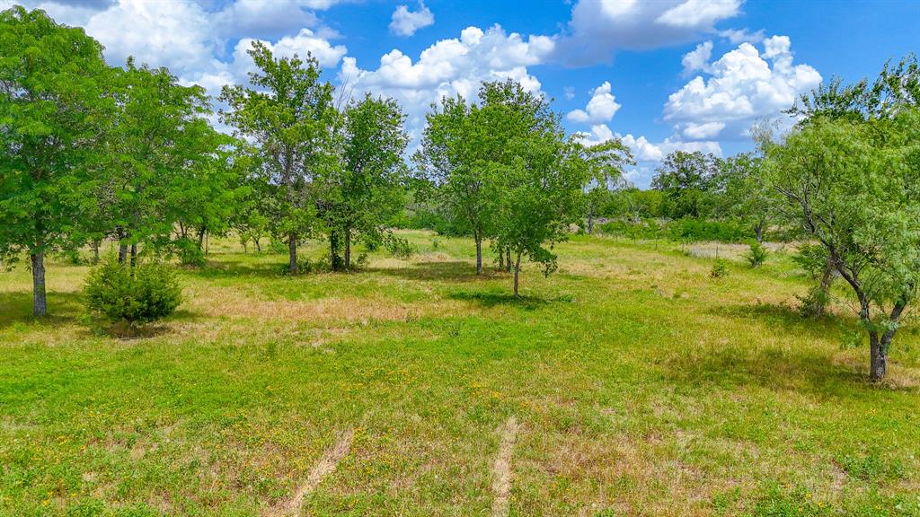 Lot 123 Palmito Ranch Road Corsicana, TX 75110 - Photo 12 of 23 a view of yard with green space