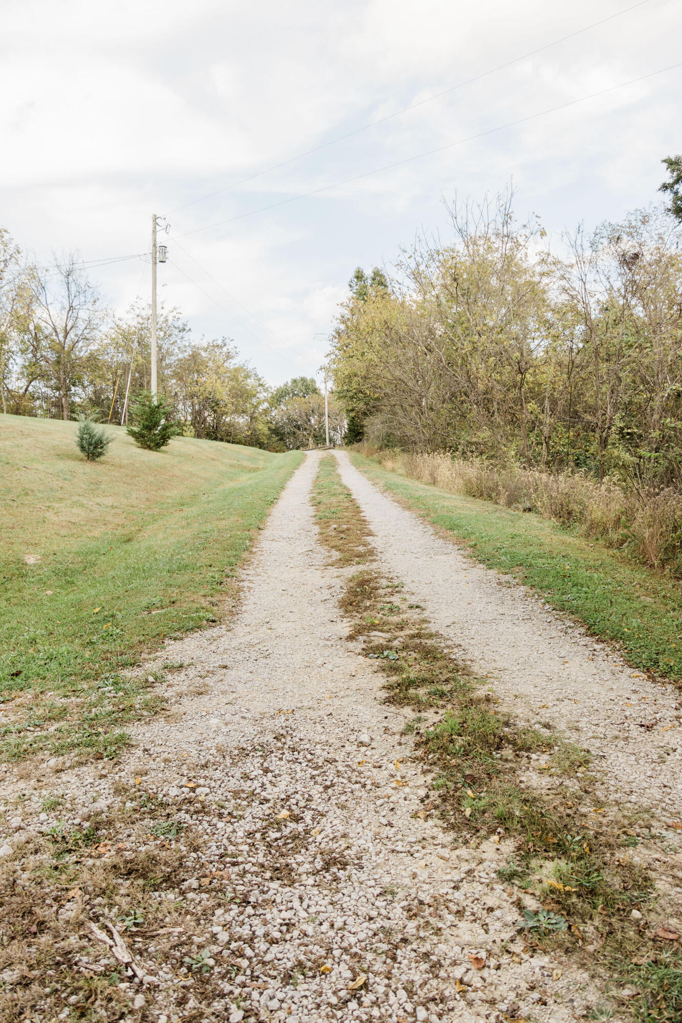 264 Richie Road Carlisle, KY 40311 - Photo 13 of 73 47