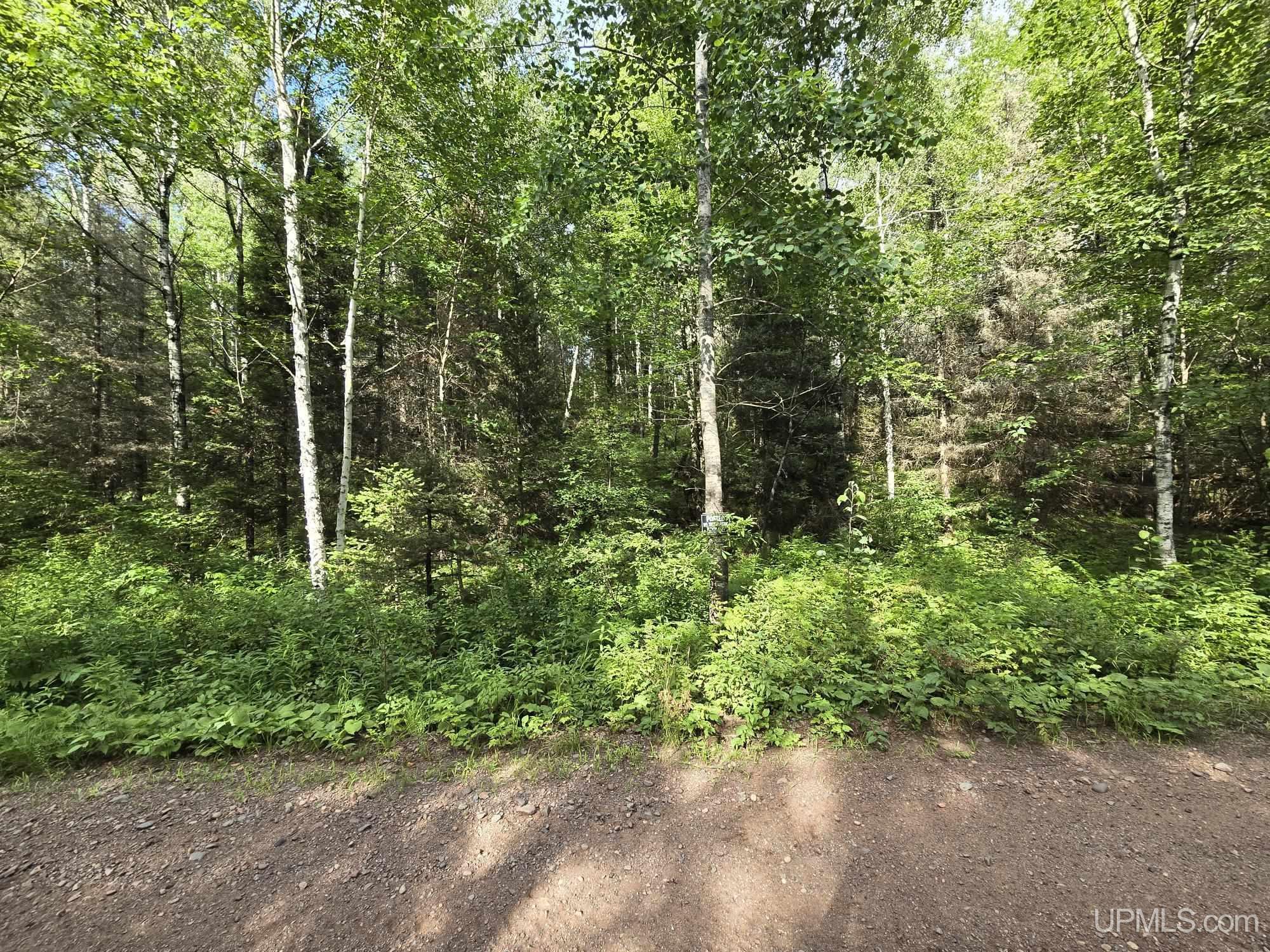Tbd East Tbd E Siding Road Iron River, MI 49935 - Photo 1 of 5
