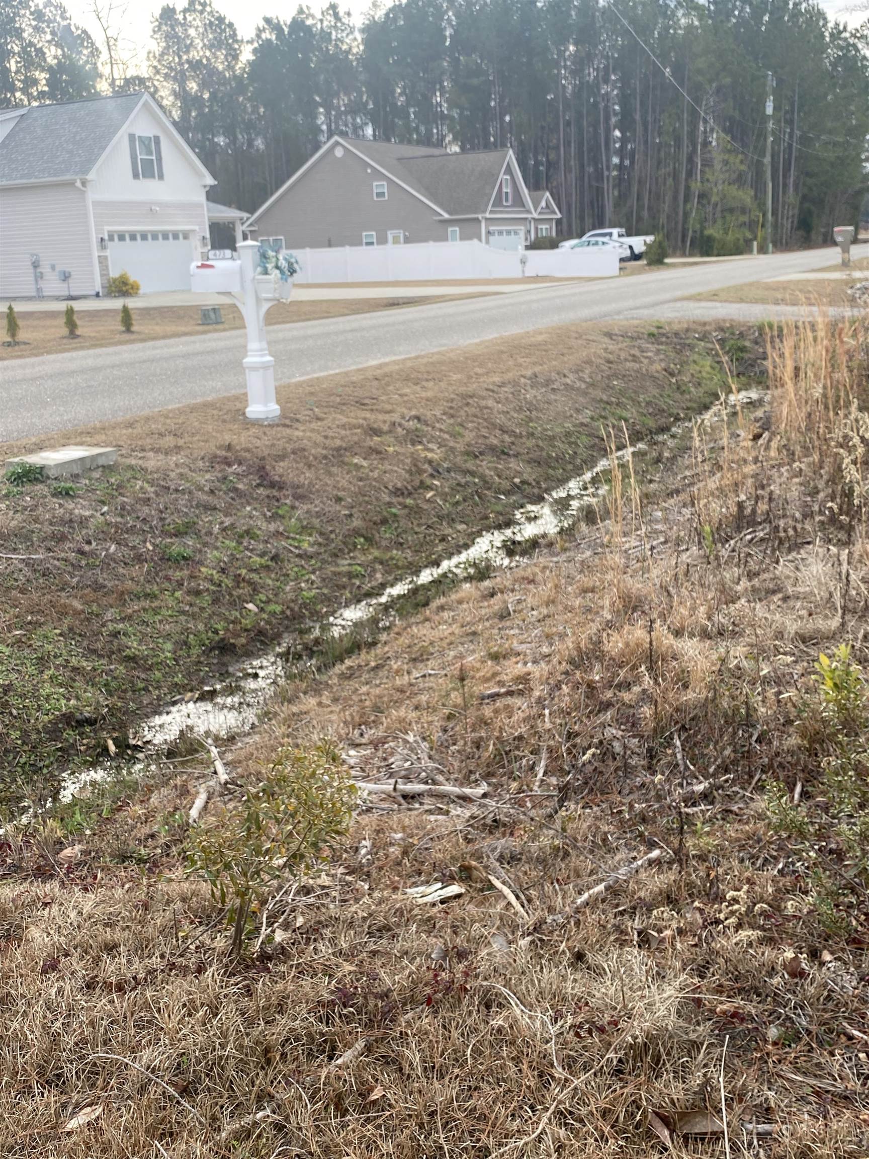 472 Sellers Road Conway, SC 29526 - Photo 3 of 8