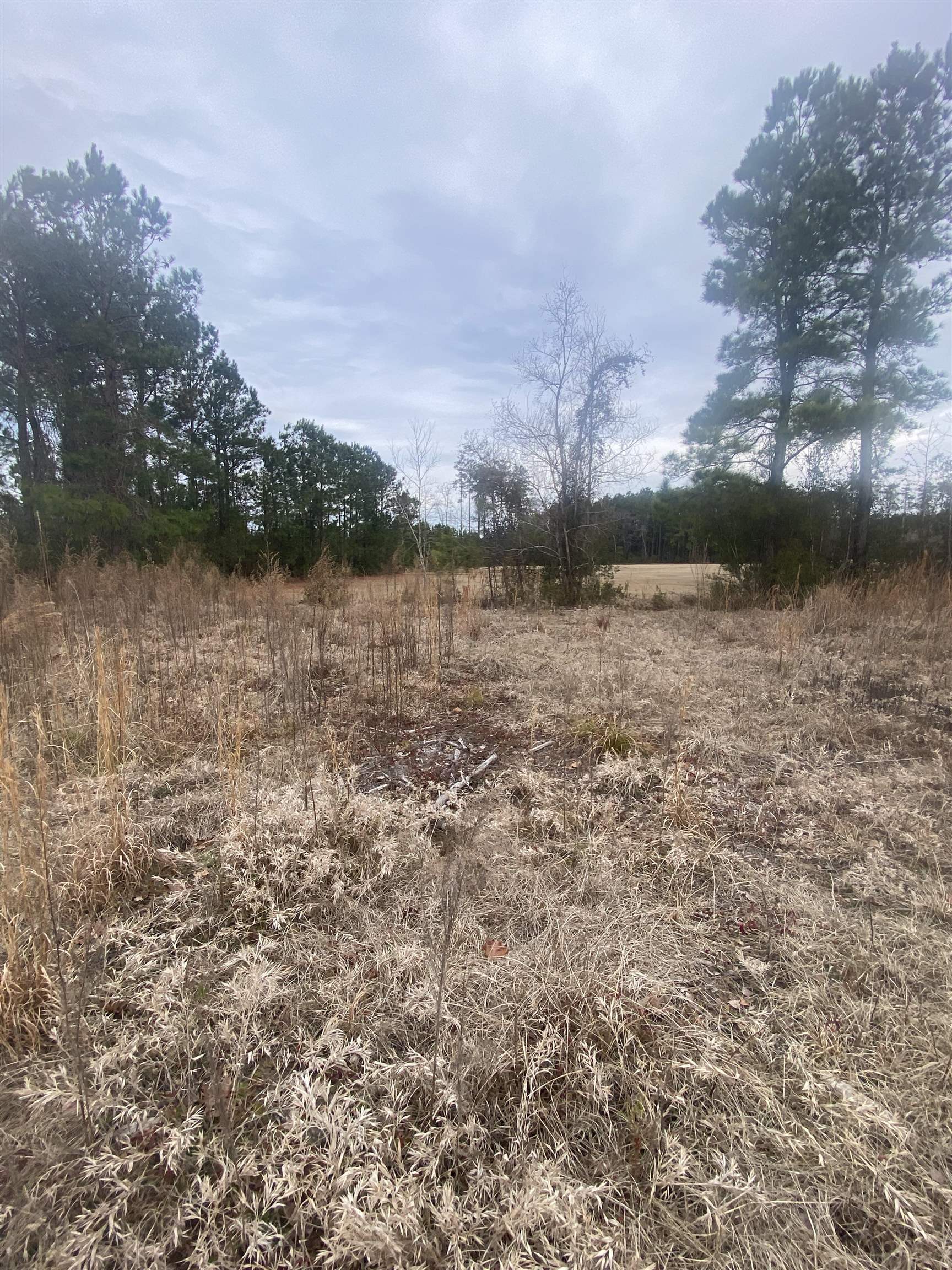 472 Sellers Road Conway, SC 29526 - Photo 4 of 8