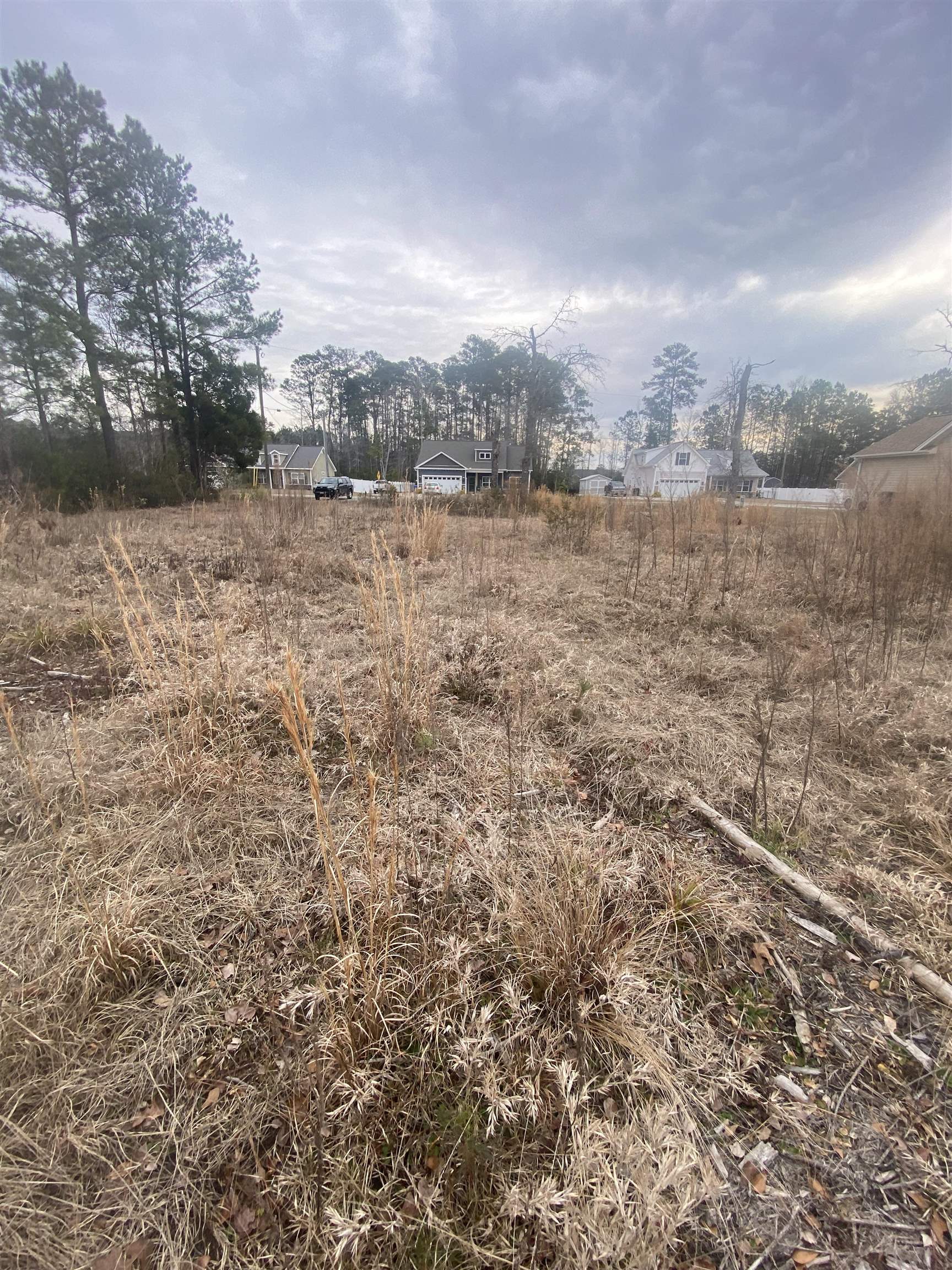 472 Sellers Road Conway, SC 29526 - Photo 5 of 8