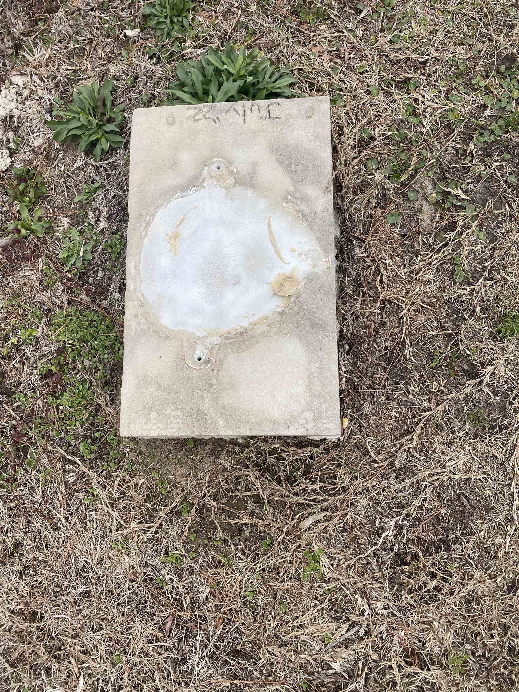 472 Sellers Road Conway, SC 29526 - Photo 8 of 8