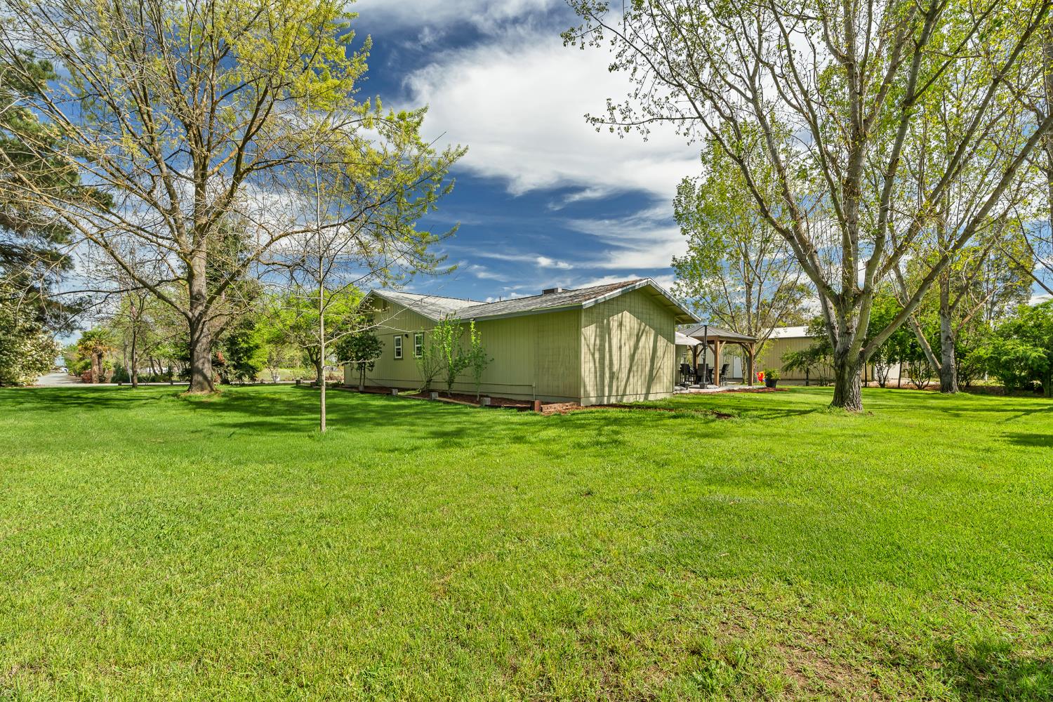 12354 Hobday Road Wilton, CA 95693 - Photo 13 of 77 view of grassy yard