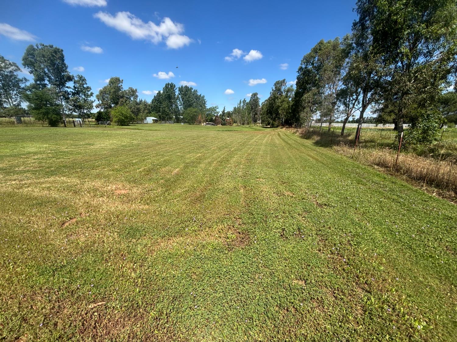 12354 Hobday Road Wilton, CA 95693 - Photo 67 of 77
