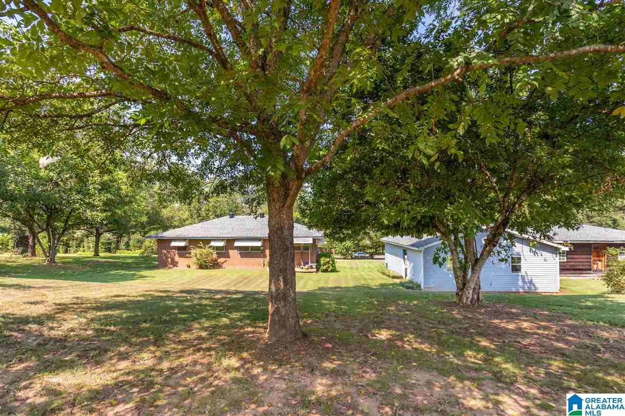 128 Circle C Road Alexandria, AL 36250 - Photo 24 of 38