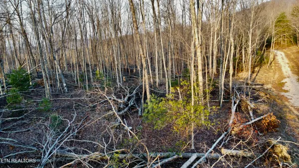 $85,800 | Lot#8 Mill Creek Road, Unit 26 009 19, Sunbright, TN 37872