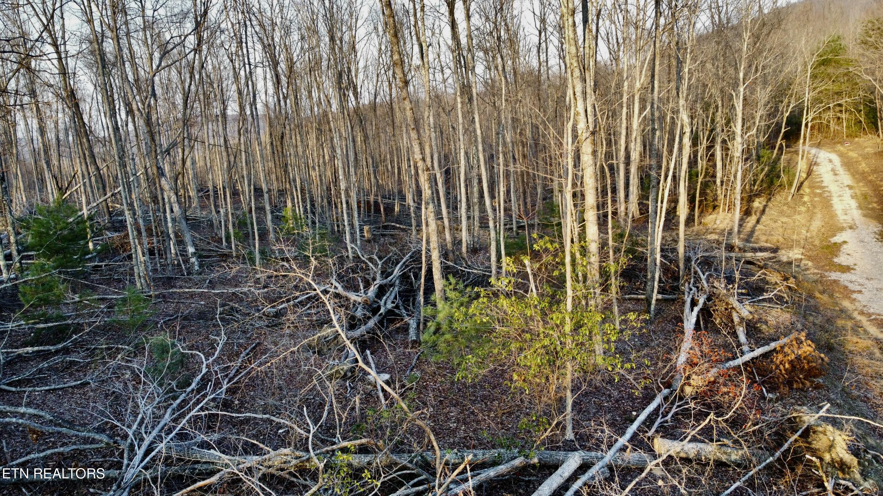 Lot#8 Mill Creek Road, Unit 26 009 19 Sunbright, TN 37872 - Photo 11 of 14 Photo Mar 26 2026, 7 06 52 PM