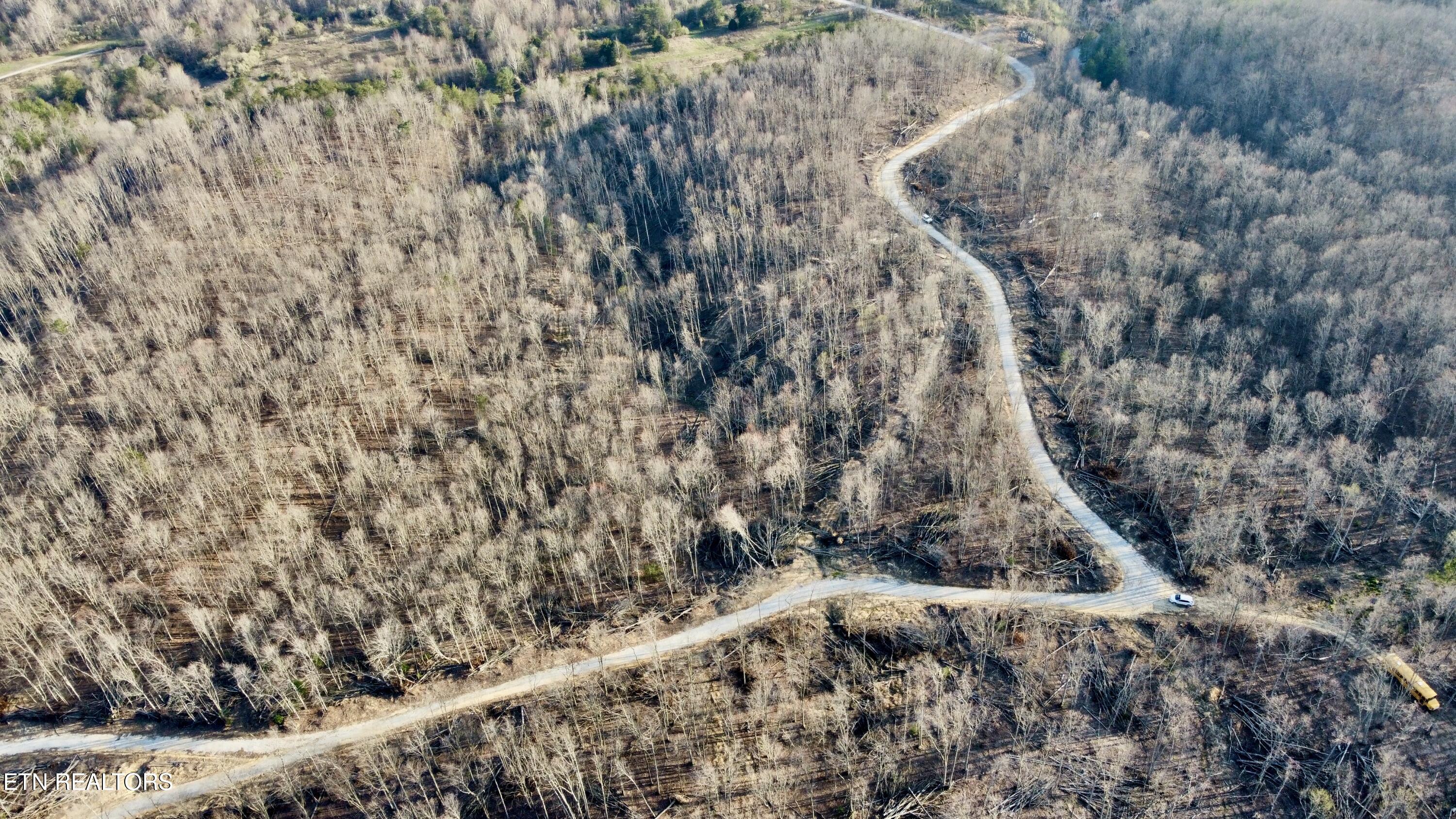Lot#8 Mill Creek Road, Unit 26 009 19 Sunbright, TN 37872 - Photo 5 of 14 Photo Mar 26 2026, 6 31 30 PM