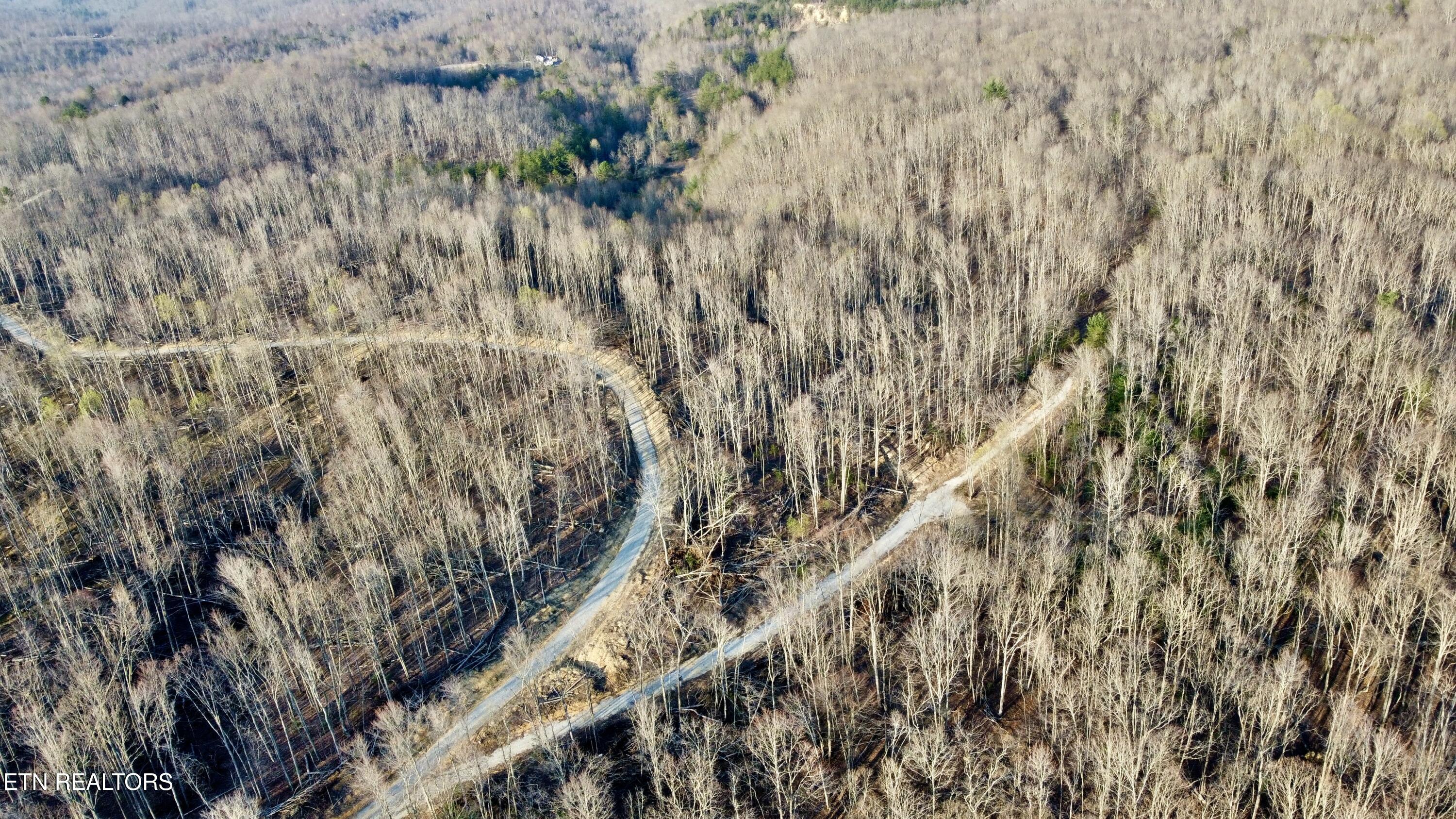 Lot#8 Mill Creek Road, Unit 26 009 19 Sunbright, TN 37872 - Photo 8 of 14 Photo Mar 26 2026, 6 38 03 PM