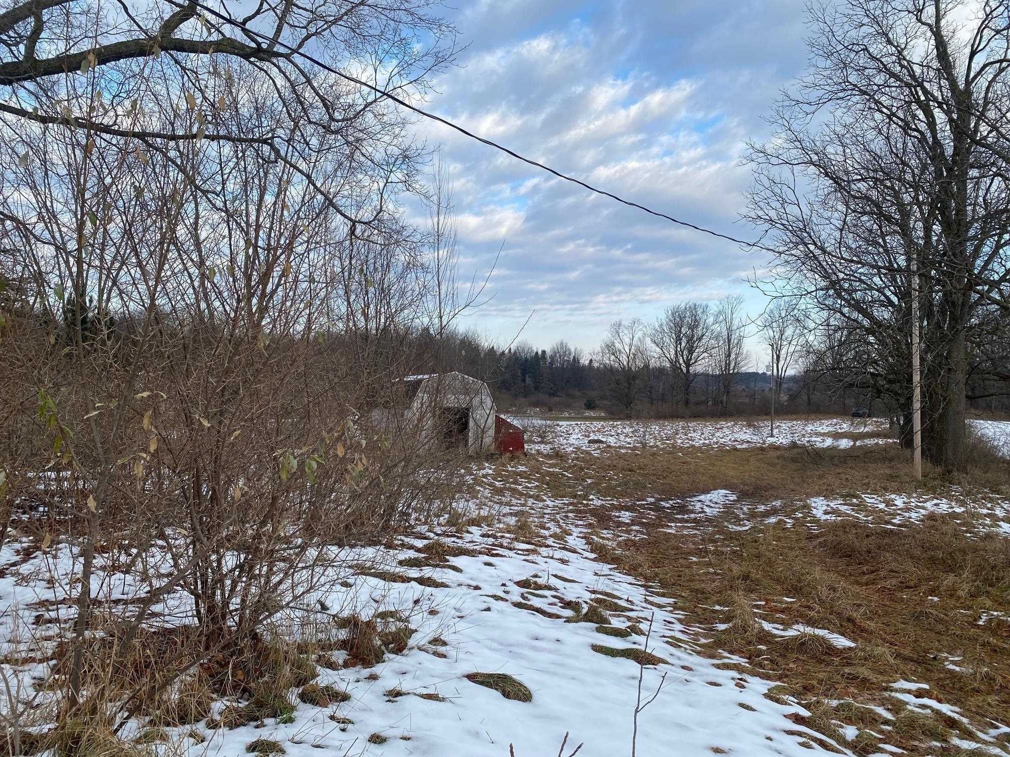 447 12 Mile Road Remus, MI 49340 - Photo 5 of 5