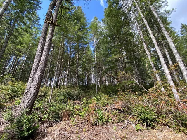 $175,000 | 3 East Mason Lake Road, Grapeview, WA 98546