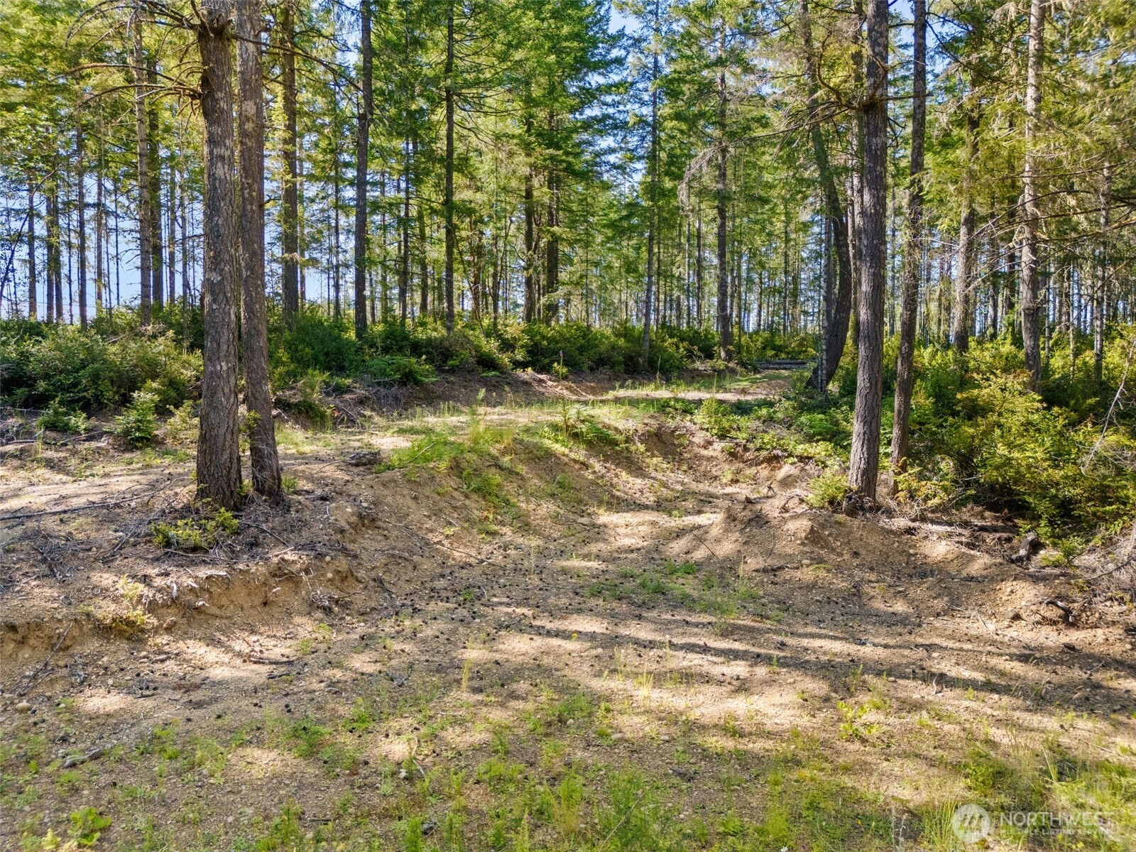 3 East Mason Lake Road Grapeview, WA 98546 - Photo 2 of 11 a view of a yard with plants and trees