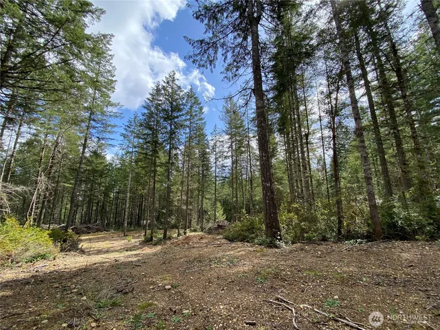 $175,000 | 3 East Mason Lake Road, Grapeview, WA 98546