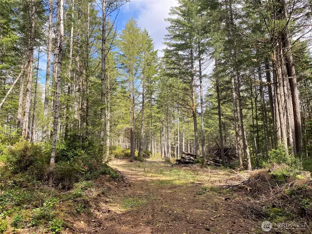 $175,000 | 3 East Mason Lake Road, Grapeview, WA 98546