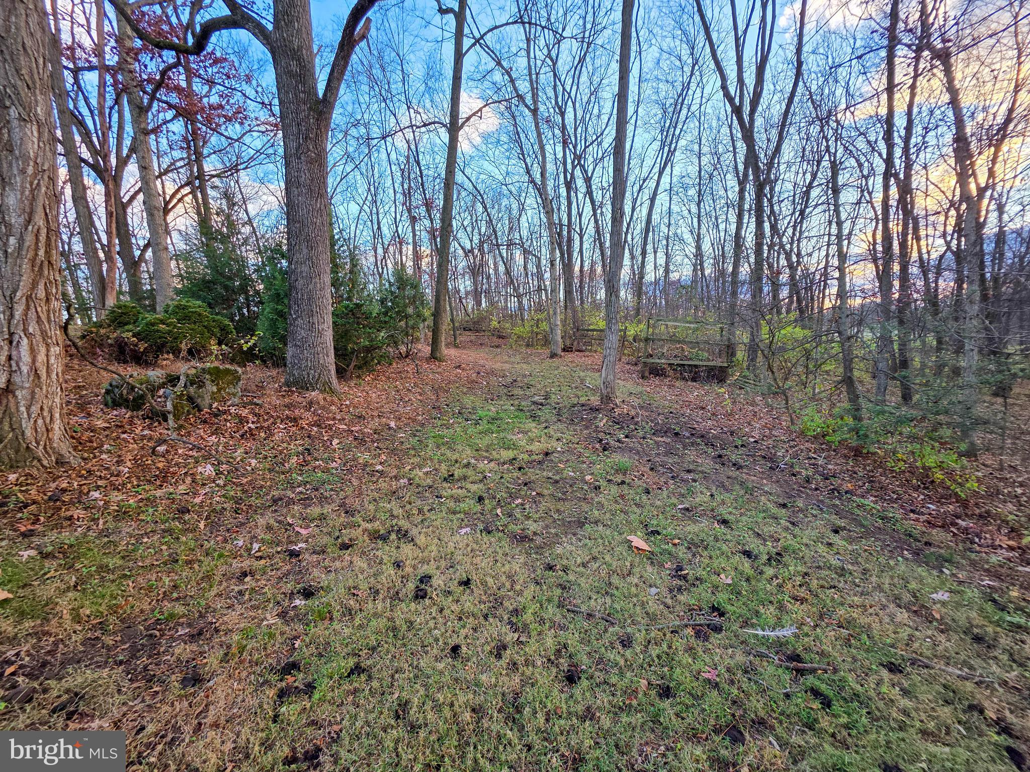 1700 McDowell Road Greencastle, PA 17225 - Photo 37 of 40 a backyard of a house with lots of green space