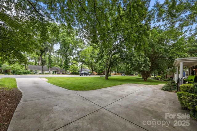 a view of a park with large trees