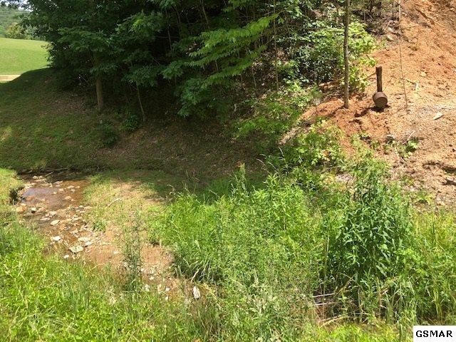 1721 Little Cove Road Sevierville, TN 37862 - Photo 10 of 15
