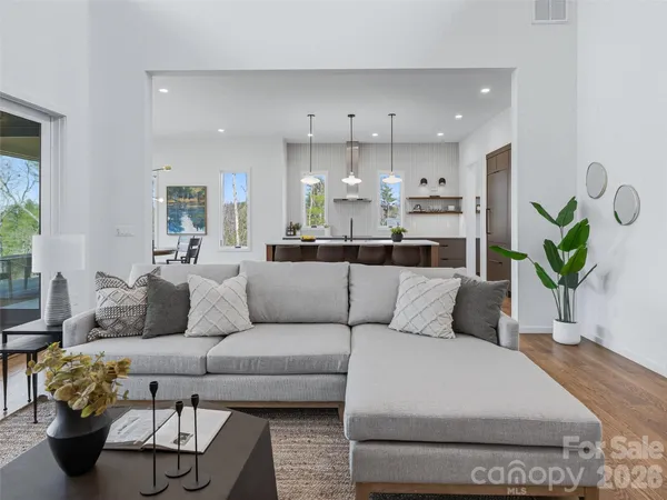 a living room with furniture and a potted plant