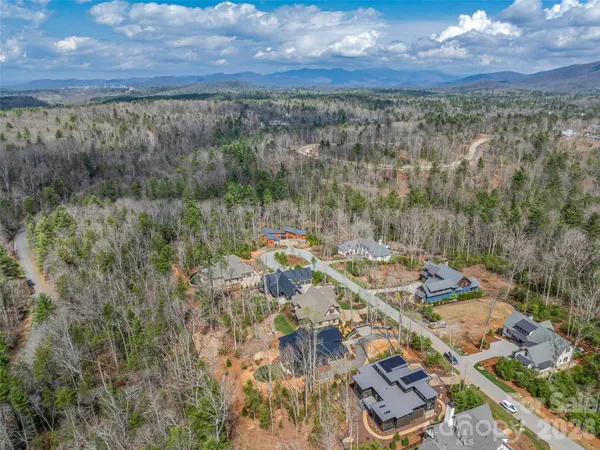 a view of a forest with a yard
