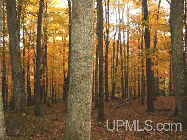 6.50-acres Fordville Road, Unit 27 STURGEON RIVER SI Foster City, MI 49807 - Photo 11 of 14