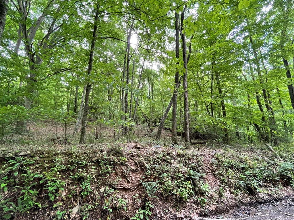 Tbd Millstone Road, Unit 46 Woodlawn, VA 24381 - Photo 17 of 24 Gallery Image 17