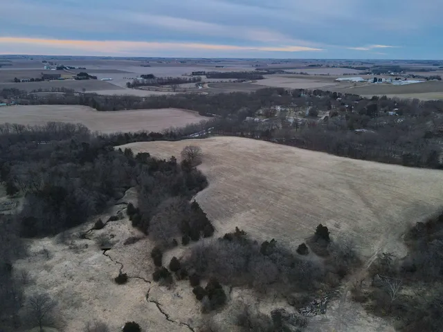 a view of yard with trees