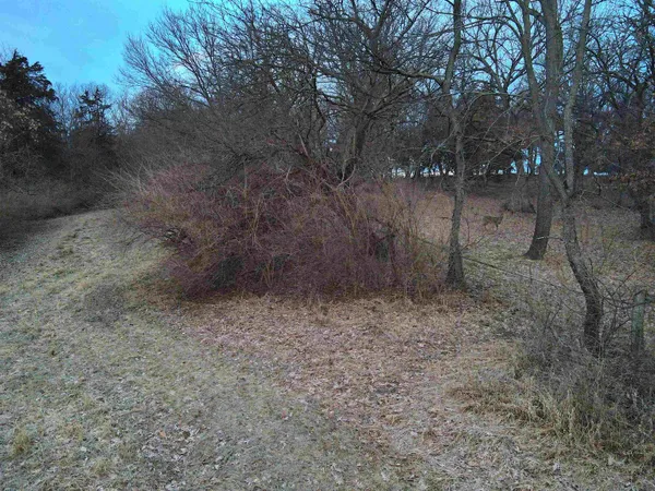 $275,000 | 0 North Mountain Lane, Freeport, IL 61032