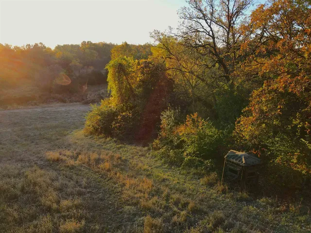 a view of yard with green space