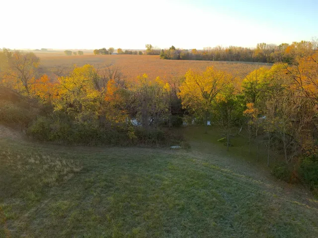 a view of yard with green space