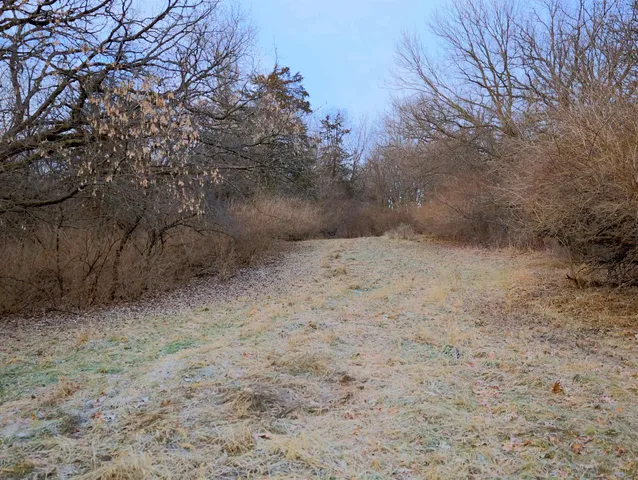 a view of yard with green space