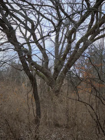 a view of yard with green space and seating area