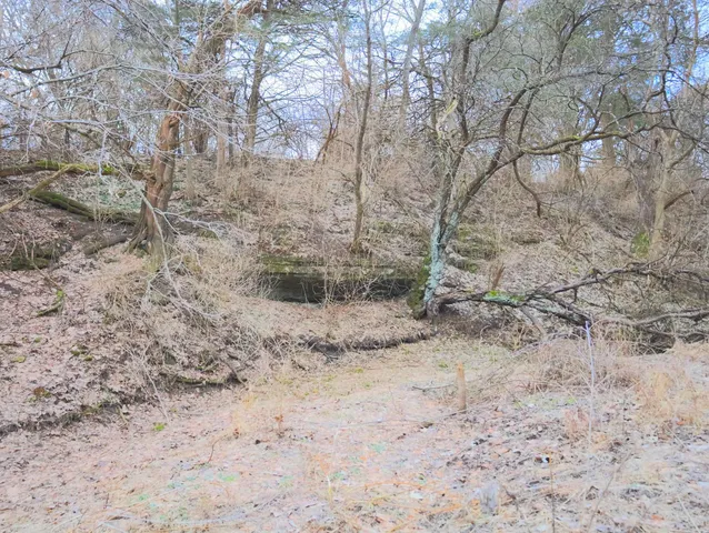 a view of a livingroom with wooden floor