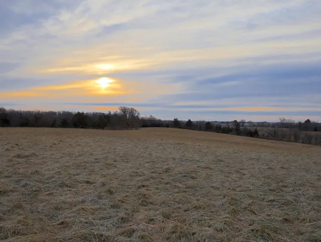 a view of a yard with an outdoor space