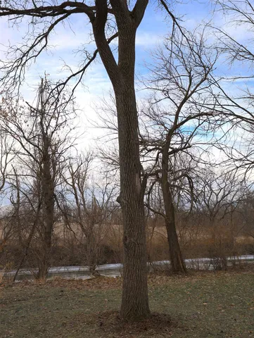 a view of a yard with table and chairs
