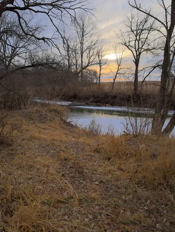 a view of a yard in the back